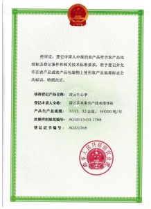 手里有套独栋别墅，装修方案到底从哪一步开始定？